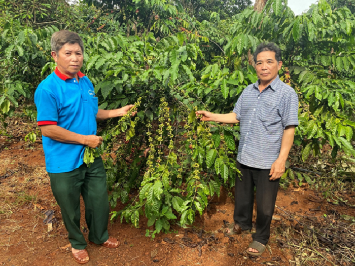Ông Hoang Văn Đoàn người có uy tín tiêu biểu trong đồng bào dân tộc thiểu số ở xã Cư A Mung 	